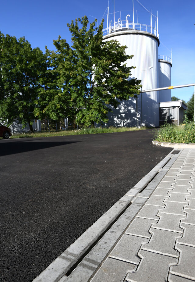 5f10022f08341.jpg